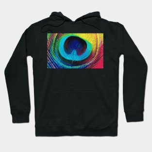 Digital Illustration of a Peacock Feather Hoodie